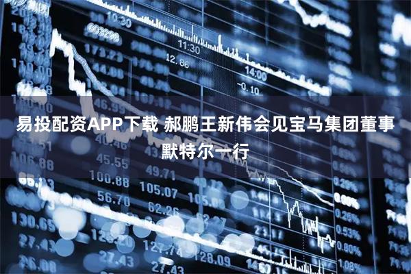 易投配资APP下载 郝鹏王新伟会见宝马集团董事默特尔一行