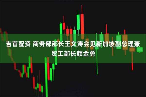 吉首配资 商务部部长王文涛会见新加坡副总理兼贸工部长颜金勇